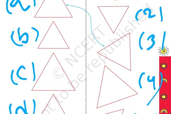 Shapes