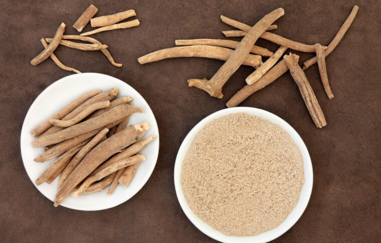 Ashwagandha Powder Manufacturing Plant Project Details, Requirements, Cost and Economics