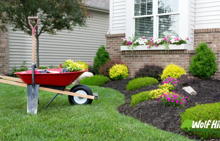 Landscaping in Manassas, VA: Creating Outdoor Spaces That Inspire