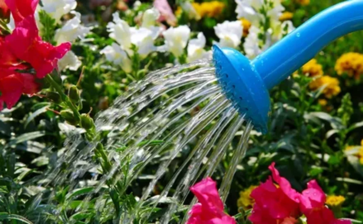 How Often Should You Change Flower Water?