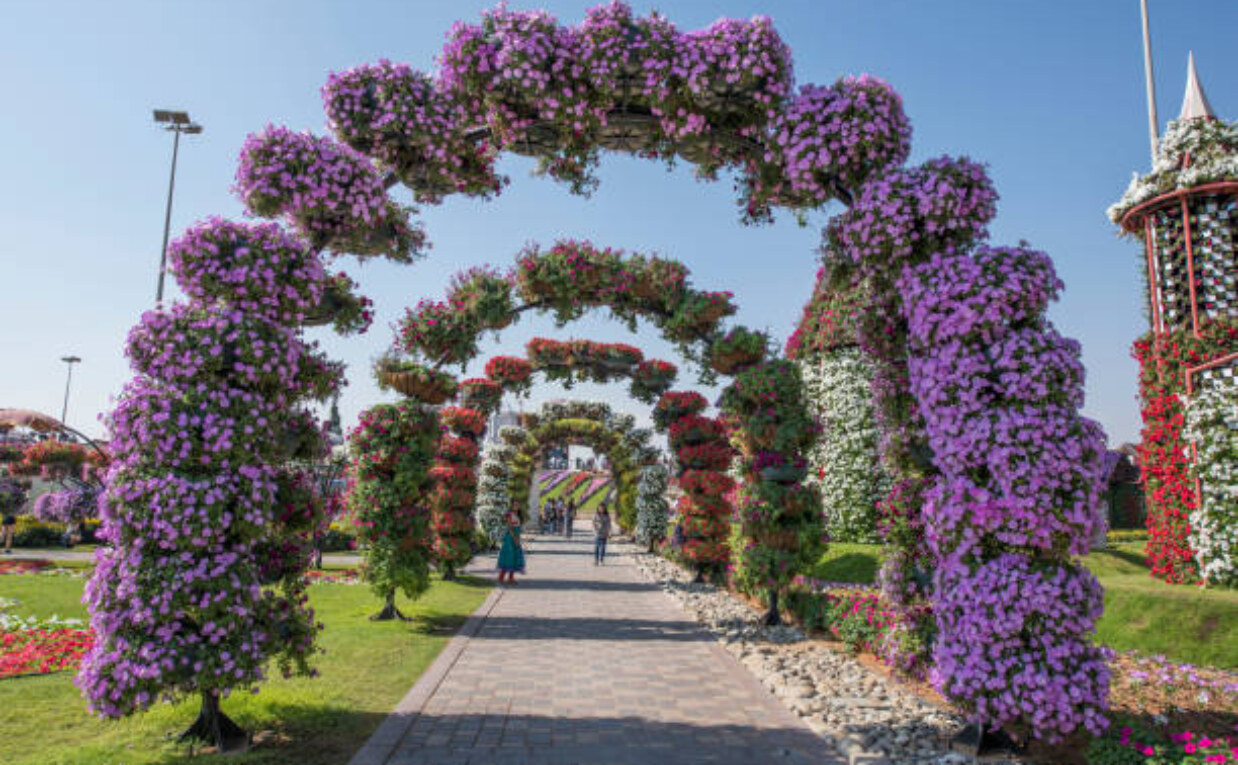 Seasonal Guide: When to Buy Dubai Miracle Garden Tickets for the Best Blooms