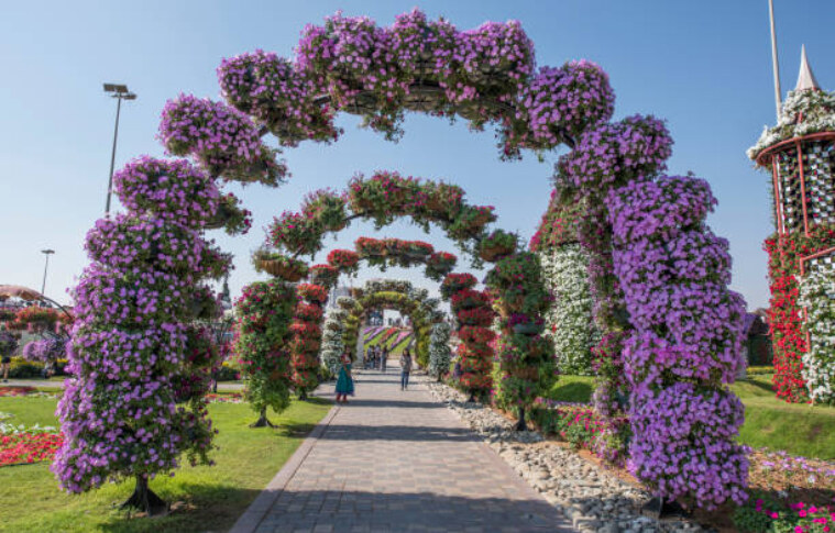 Seasonal Guide: When to Buy Dubai Miracle Garden Tickets for the Best Blooms