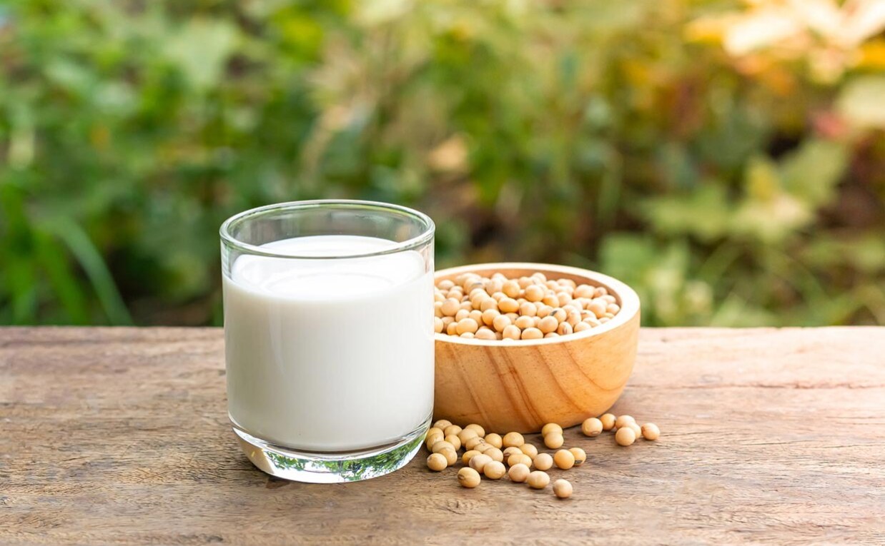 Comprehensive Approach to Setting Up a Soya Milk Manufacturing Plant