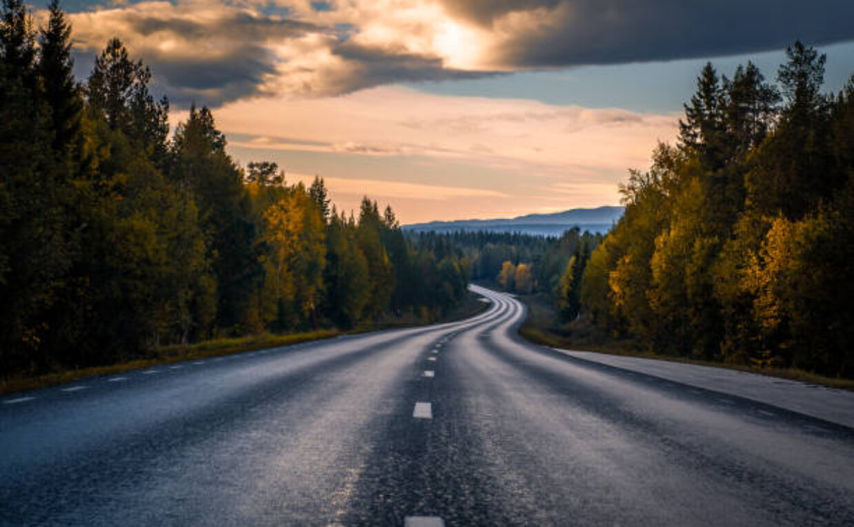 Best Road Trips in Sweden for Nature Lovers