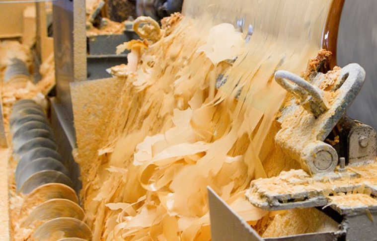 Carnauba Wax Production Cost Analysis Report 2025: Business Plan, Machinery and Industry Trends