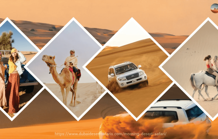 Incredible Reasons to Love Morning Desert Safari