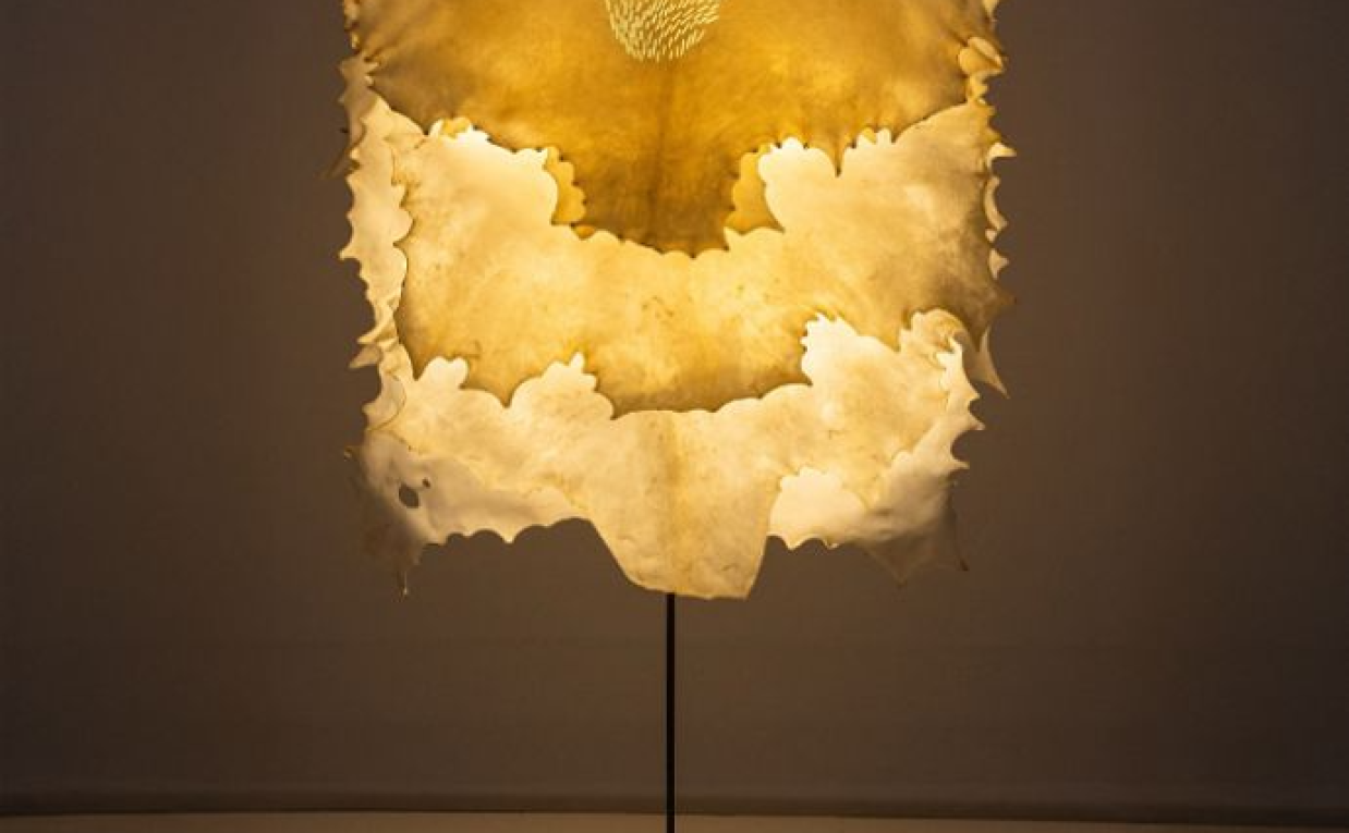 Luxury Lighting: Transforming Spaces with Floor & Table Lamps