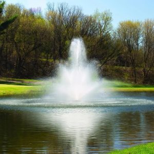 pond fountain