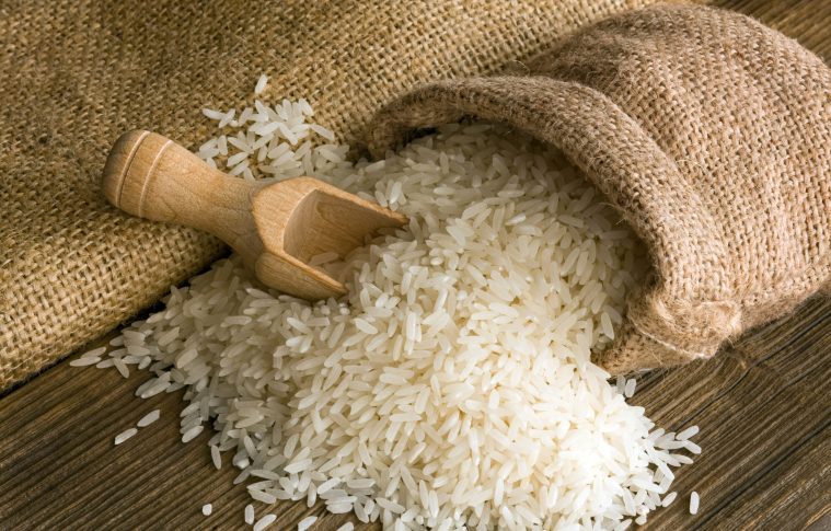 Rice Processing Plant Cost 2025: Industry Trends, Unit Setup, and Machinery