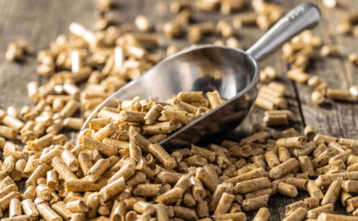 Biomass Pellets Manufacturing Plant Project Report 2025: Setup Cost, Machinery Requirements and Raw Materials