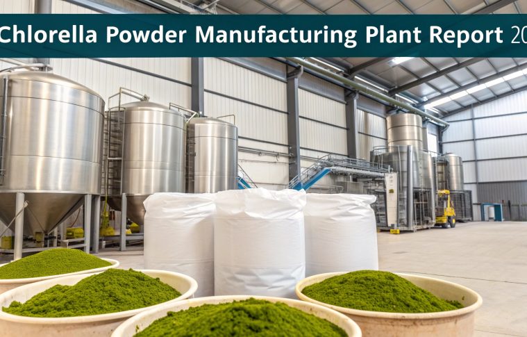 Chlorella Powder Manufacturing Plant Cost 2025 | Project Report & Setup Guide