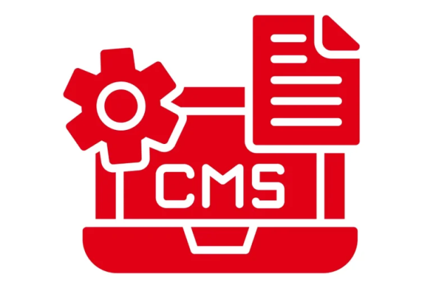 Custom CMS Development Services | Vaani Live – Delhi NCR