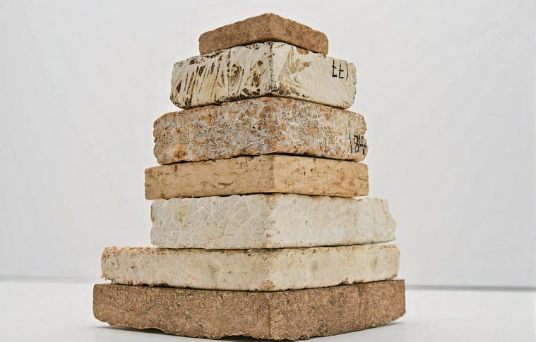 Mycelium Brick Manufacturing Plant Project Report 2025 | Utility requirements and Cost Involved