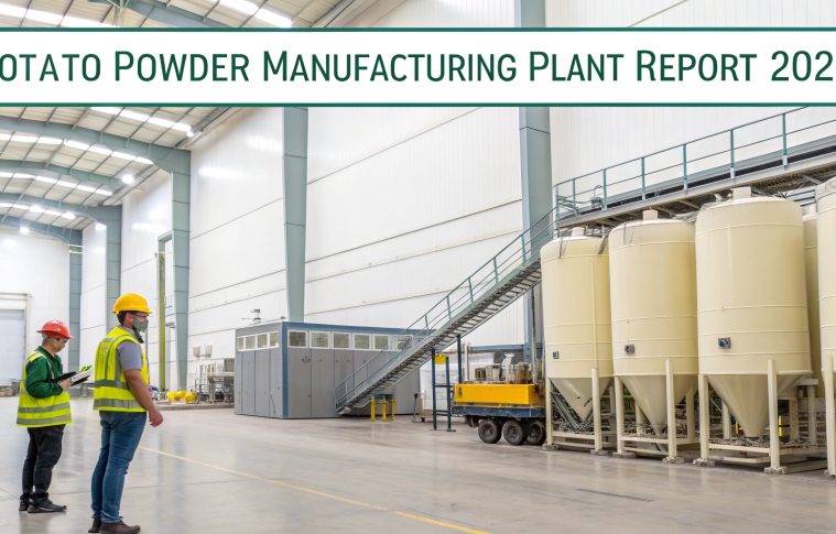 Potato Powder Manufacturing Plant | Utility Requirements and Cost Involved