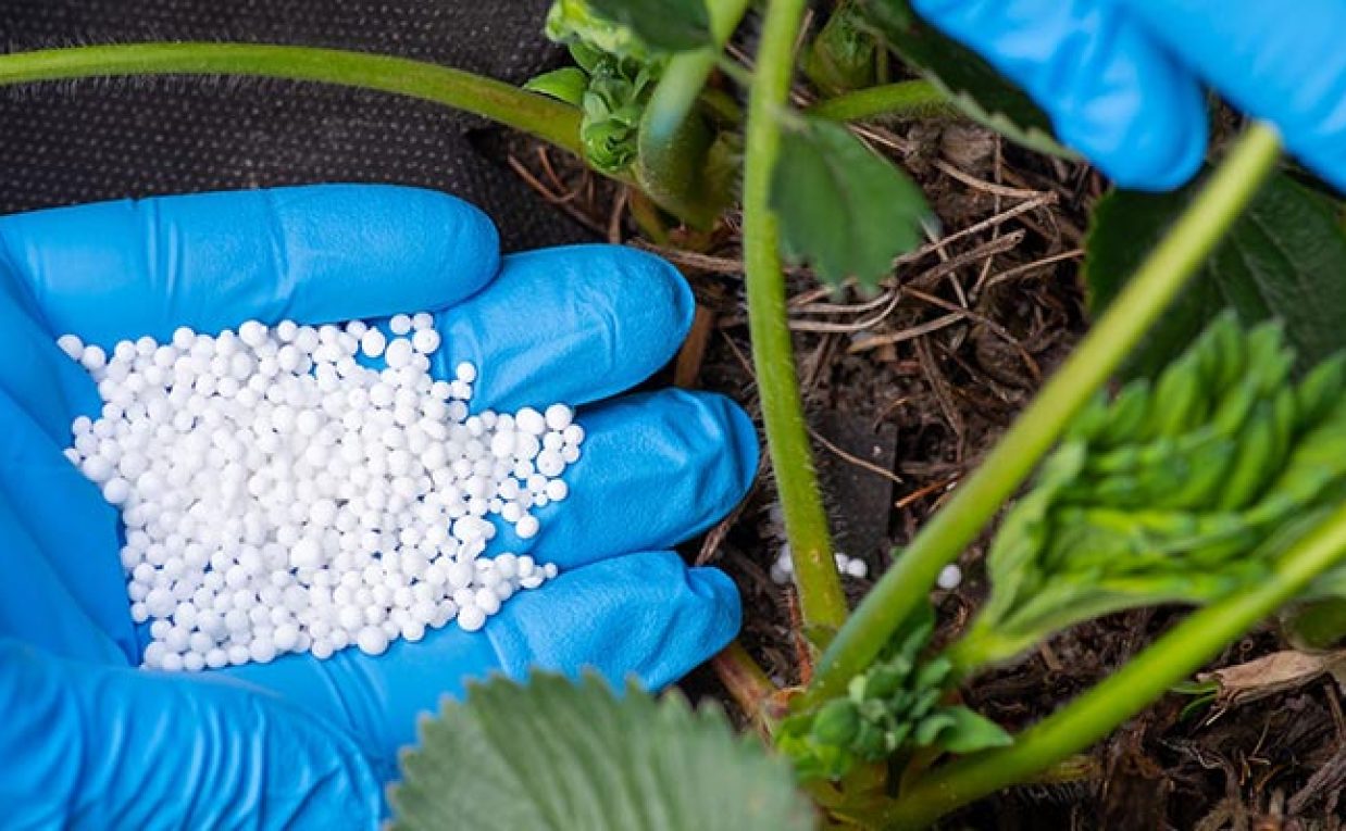 Urea Production Cost Report 2025: Detailed Guide on Plant Setup, CapEx/OpEx and Profitability