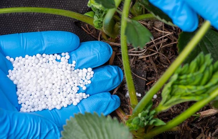 Urea Production Cost Report 2025: Detailed Guide on Plant Setup, CapEx/OpEx and Profitability