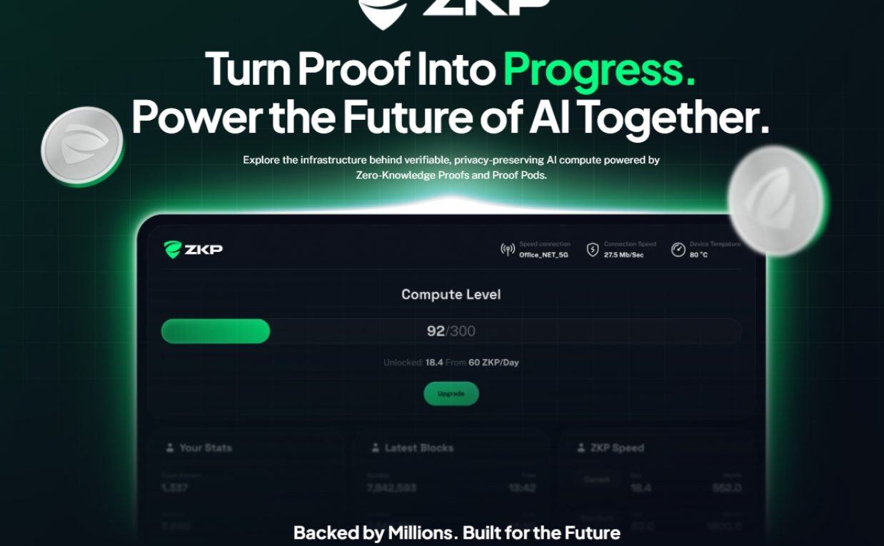 Empowering Privacy in AI: The Rise of Decentralized, Verifiable Infrastructure