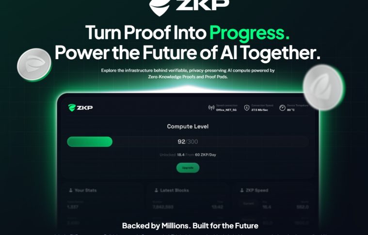Empowering Privacy in AI: The Rise of Decentralized, Verifiable Infrastructure