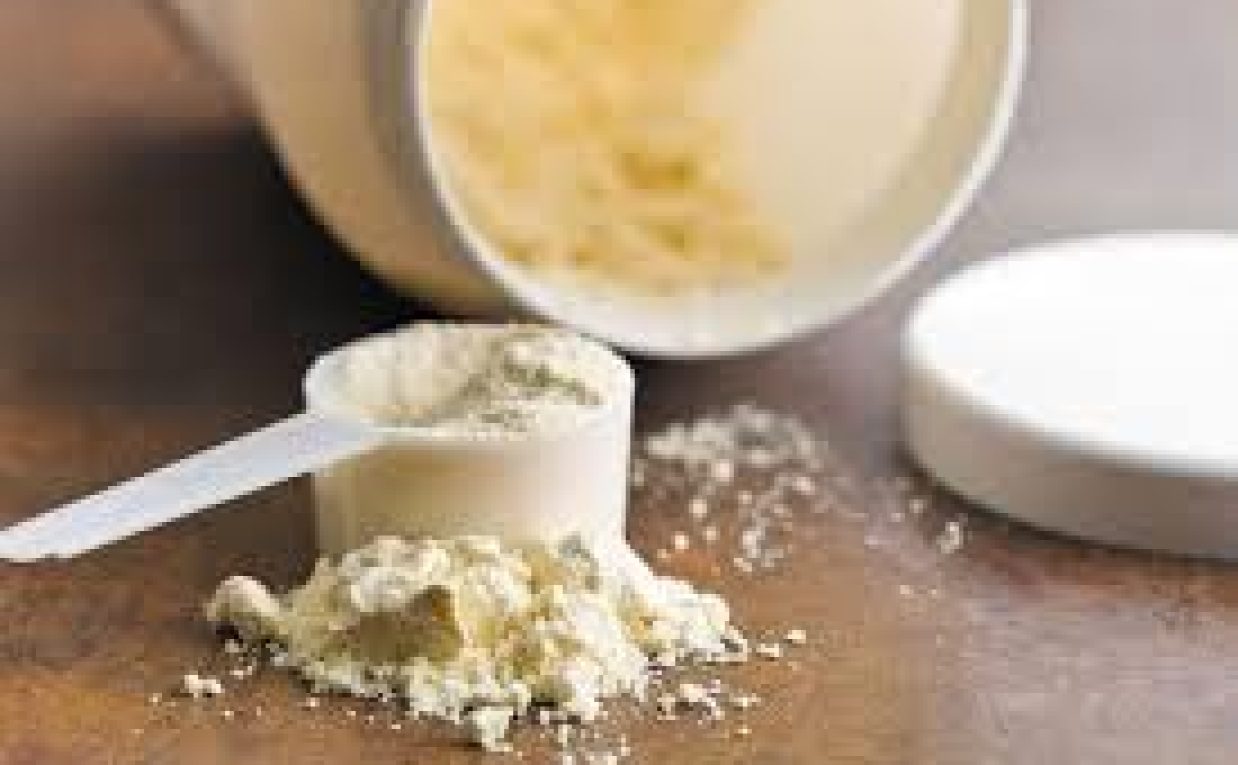 Protein Supplement Manufacturing Plant Cost 2025: Unit Setup and Raw Materials