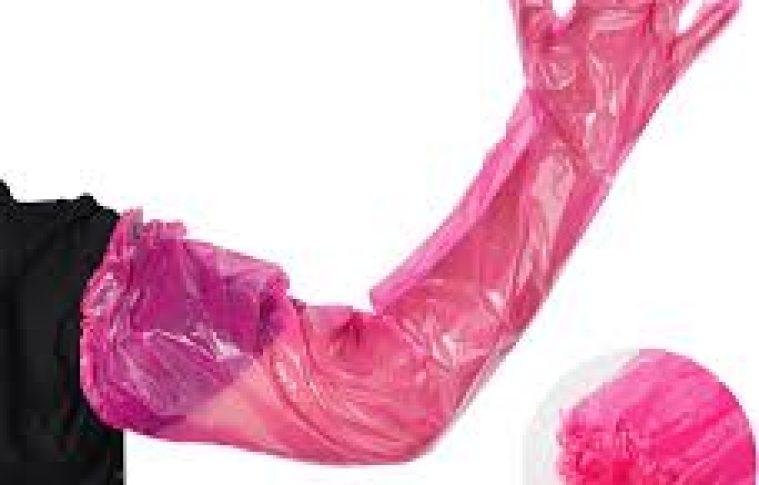 Veterinary Gloves Manufacturing Plant Project Report 2025: CapEx/OpEx Analysis with Profitability Forecasts