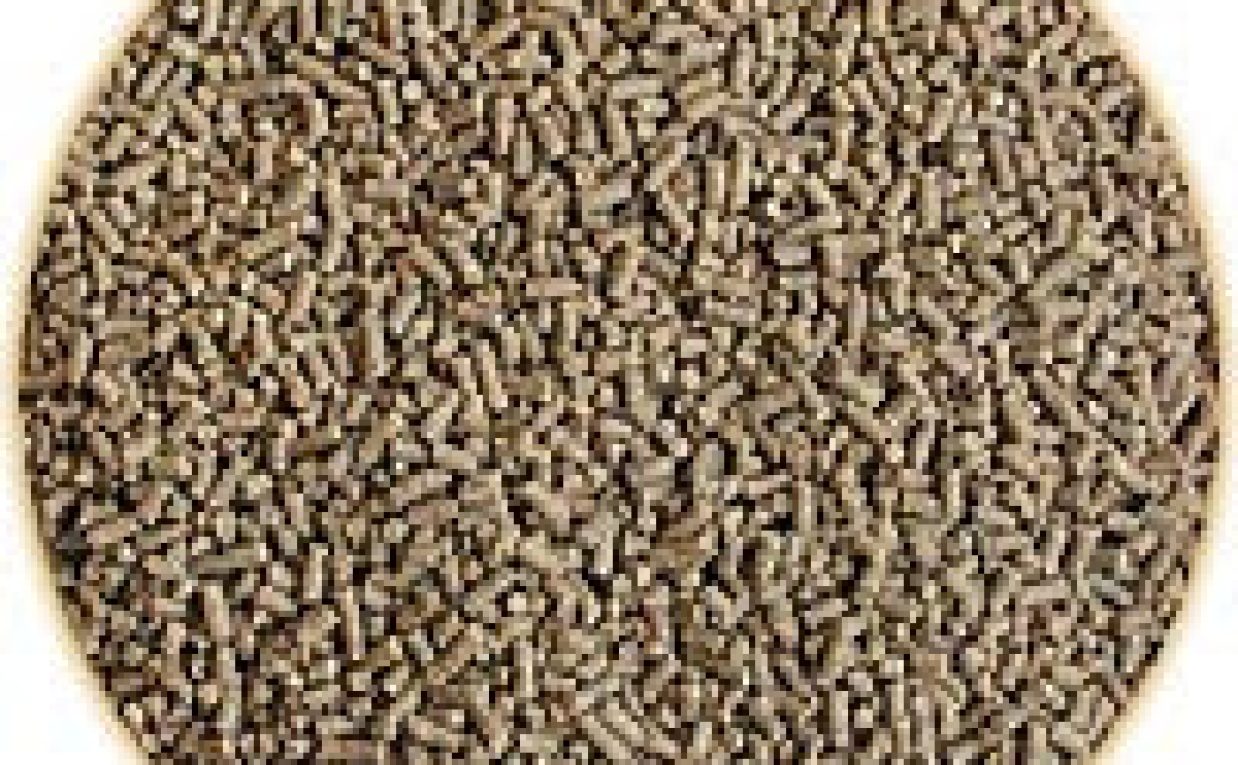 Shrimp Feed Manufacturing Plant Setup 2025: Cost Analysis and Raw Material Requirements