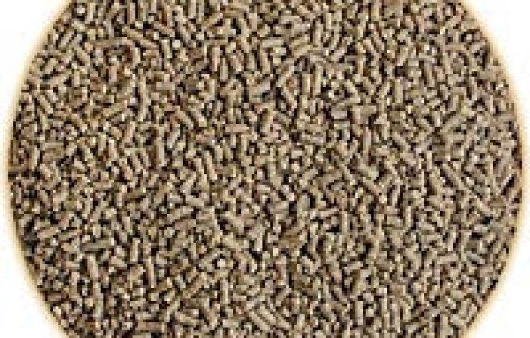 Shrimp Feed Manufacturing Plant Setup 2025: Cost Analysis and Raw Material Requirements