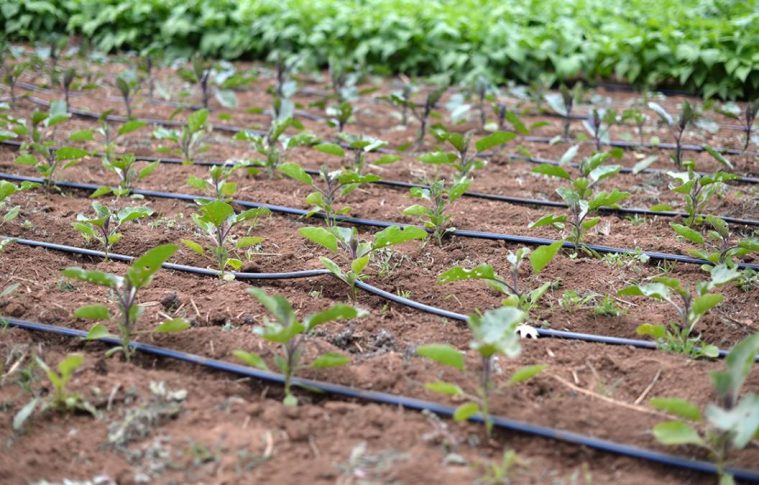 Drip Irrigation Systems Manufacturing Plant Project Report 2025: Machinery and Industry Trends