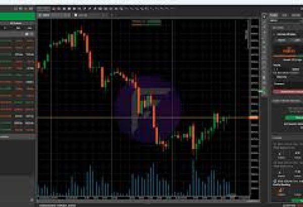 Has Anyone Tried a Forex Demo Trading Account? Looking for Feedback and Platform Suggestions