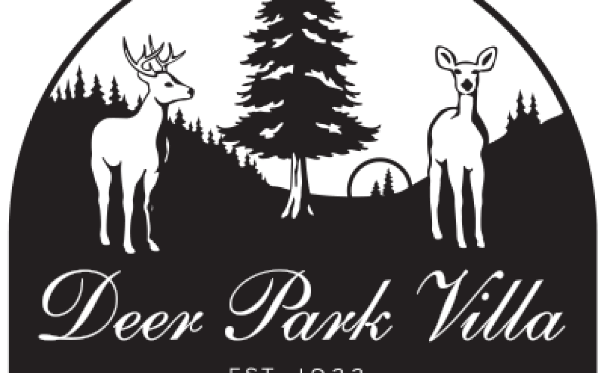 Wedding Venues How the Right Place Turns a Celebration Into a Beautiful Forever Memory