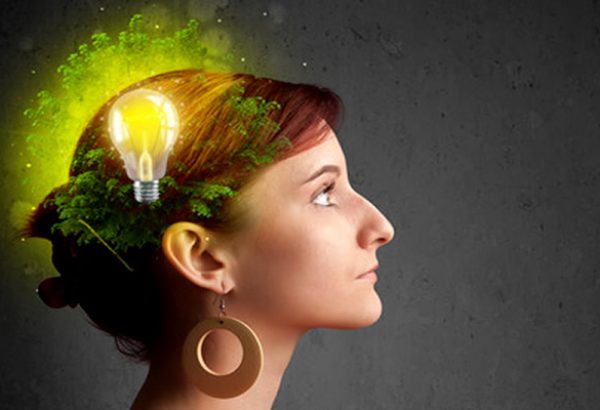 Mind Vault™ Review: Pros, Cons & Final Verdict for 2025
