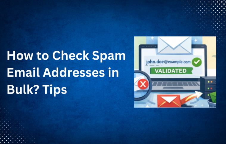 How to Check Spam Email Addresses in Bulk? Tips
