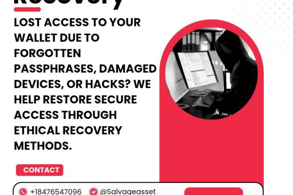 HOW TO GET BACK LOST  CRYPTOCURRENCY → CONSULT SALVAGE ASSET RECOVERY