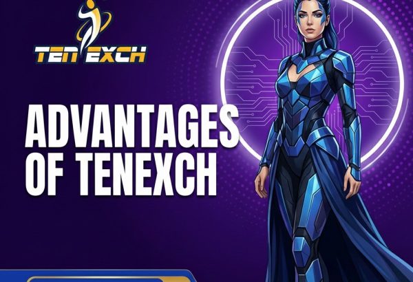 What Makes Tenexch Unique? Unlocking Limitless Opportunities in Digital Exchange
