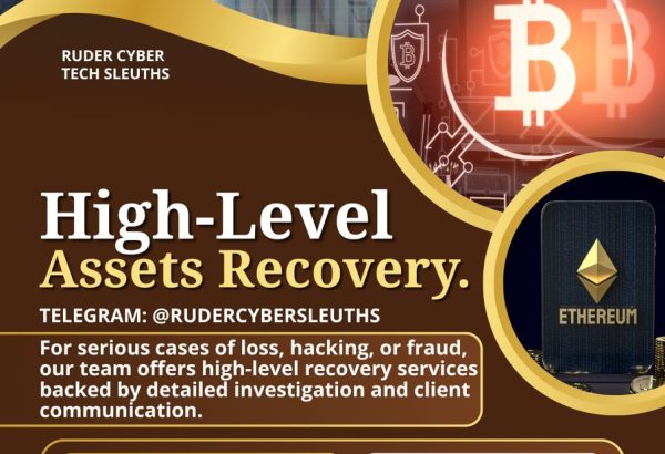 RUDER CYBER TECH SLEUTHS Best Crypto Asset Recovery Service Providers for Hire