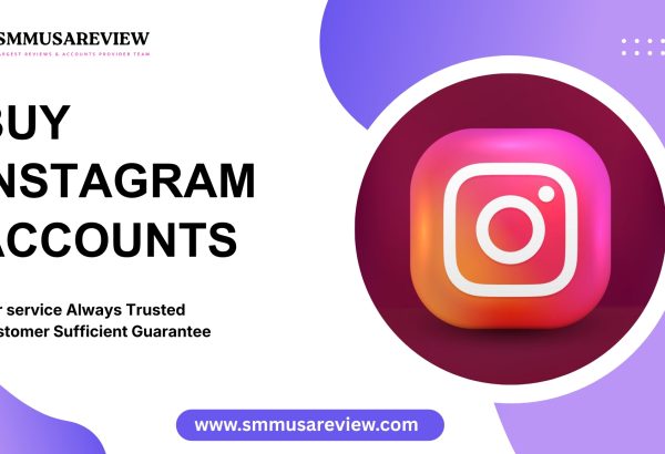 Buy Verified vs. Aged Instagram Accounts: 2026 Choice?