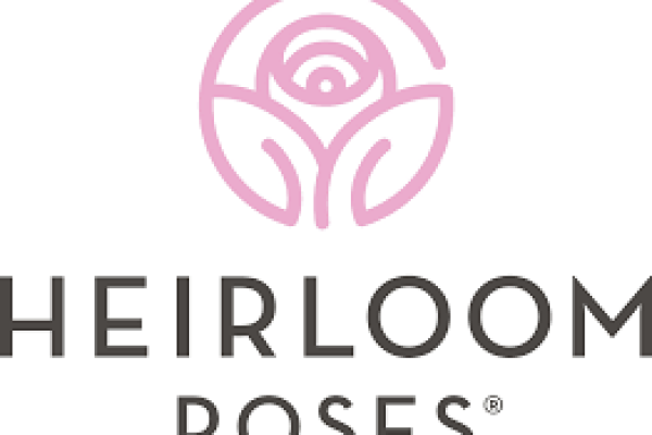 Heirloom Roses
