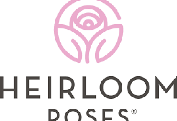 Heirloom Roses
