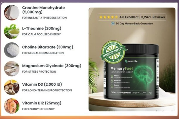 MemoryFuel Creatine Review 2026: Does It Really Boost Brain & Muscle Power?