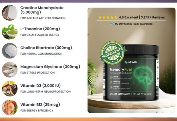 MemoryFuel Creatine Review 2026: Does It Really Boost Brain & Muscle Power?
