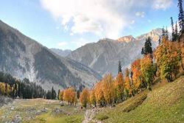 Why choose Kashmir honeymoon tour packages under Kashmir Holiday Packages?