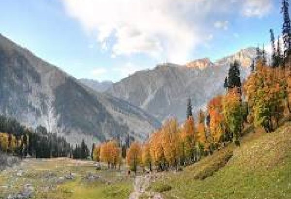 Why choose Kashmir honeymoon tour packages under Kashmir Holiday Packages?