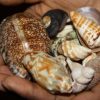 + 256702530886 ;hoodoo spells;love potions recipes; return lost love spells; how to break up acouple; simple spells; white magic spells; banishing spells; wish spells; lovemagic; bring back lost love spells; magic and spells; witchcraft and spells;bring back a lost love spell; job spells; charmed book of shadows spells; spells no matter how far the distance may be, I am a professional specializing in the fields of Love, Money, Power, Success, Luck and Witch Craft. I can help you with any problem or wish that you might have. I have more than 10 years’ experience in the field of spell casting for Traditional Spiritual Healing. Over the years I have worked for thousands of clients in more than 40 countries all over the world. Are You Suffering? Are you worried about your Love life, Family, Relationships? Feel hopeless?* Concerned about your Marriage, Career, And Financial Issues?* Are you stressed, anxious, and confused about your present situation and future journey?* Don’t know where to turn for help?* Tried other methods and still feel helpless?* With my Psychic Reading I may Guide You to Find Your Luck and Success. * Don’t be discouraged Come see Me Today I am a Gifted Reader and Adviser or Call for a phone Session. I May Help You- •Lost Love Spells •Relationship problems •Bad luck removal •Spirit protection & cleansing •Binding Love Spells •Gay Love Spells Phone readings available The purpose of this spell is to possibly make divine and telepathic contact with one’s heart and soul.* This spell is also intended to soften hearts or change one’s mind in regards to love.* Sometimes you have to look deeper than one’s superficial words and expressions. If there is a glimmer of hope, if there is still a spark of interest deep within their soul, you have reason to pursue your love. Order this spell if you have an intention of returning lost love Whether you want to increase on your income, relieve yourself from poverty, attract more customers and fortunate customers, mention it I will do in the shortest time possible, my money spells can help those who are completely bankrupt and those who have money but would like in go to a next level. Almost everyone wants more and more money. There is no limit to desires but still we can improve financial status by casting money spells. * The moment you request for a money spell, I will apply my strong psychic powers on your behalf. So decide today to order for your money spell which will see you change your life than ever before.* Effective love spells • African love spells that work • Easy Love Spells that Work • Effective aTrue Love Spells • Marriage love spell that real works • Marriage love spells • Magnetic voodoo love spell • Obsession black magic love spell • Candles spell to bring back lost lover • Love spells to bring her back • Stop cheating spell • Effective spell to amend a broken heart • How to change him to be loving? • Spells to get him back? • Get back with your ex permanently • How to Get Your Ex Back Permanently • I need my ex back in my life • Lover takes me for granted • Win my ex back spell • Change her to be loving spell • Save my relationship magic spell • Want my ex boyfriend to want me back spell • Restore lost love in your marriage spell • Make my ex lover to forgive me • Convince ex to get back together spell • Make my ex want me more after break up • Work with my ex but i want her back + 256702530886 • Getting a man to fall in love with you • Win your ex girlfriend back • Get lost love back • Bring back intimacy in your marriage • Create passion in a marriage • Get intimacy back after cheating • Spells to keep a man faithful • Bring my husband back to me + 25670253088 • Break them up and make him to love me • Make your husband love you more • Make my ex-boyfriend come back to me + 256702530886 • Get a lover back after you messed up • Win a man back from another woman • Get a guy back that dumped you • • Win a man back after hurting him • Win my long distance ex- lover come back to me spell • Spell to better a relationship I have helped saved many people’s relationships in South Africa UK USA, Canada ,Australia, Ontario, Melbourne, Sydney, Malaysia ,Dubai, UAE, Kuwait, Qatar, Doha, Saudi Arabia, San Francisco ,New Zealand ,Botswana, Singapore, Italy, Germany, Paris, Belgium, France, Berlin, Spain, Namibia, San Diego, Denmark, Washington, Virginia, Texas, Boston, Florida, Vancover, Calgary, Holland, Denmark, Brazil, Thailand, Sweden, Taiwan, United Kingdom, Uruguay, Switzerland, Portugal., Japan, Argentina, Philippines, Serbia, Venezuela, Italy, Luxembourg, Andorra, Mexico, Chile, Tunisia, Norway, Austria, Bulgaria, Croatia ,Cyprus ,Czech Republic ,Estonia, Finland, Greece ,Hungary, Ireland ,Latvia ,Lithuania, Malta, Poland, Portugal, Romania, Slovakia, Slovenia, Cuba, Czech republic, Gabon, Gambia, Guinea, Hong Kong, Iceland, Jamaica, Israel, Italy, Jordan and abroad Effectively through physical and long distance healing.,Canada, LA Tuque, Senneterre, Rouyn-Noranda, Val-d’Or, Greater Sudbury, Kawartha Lakes, Timmins, Ottawa, Gillam, Sept-Îles, Norfolk County, Leaf Rapids, Haldimand County, Snow Lake, Saguenay, Gaspé, Hamilton, Port-Cartier, Prince Edward County, Lynn Lake, Brant, Calgary, Shawinigan, Témiscaming, Elliot Lake, Huntsville, Chibougamau, Caledon, Edmonton, Saint-Raymond, Laurentian Hills, Toronto, Bracebridge, Iroquois Falls, Mont-Laurier, Dégelis, Belleterre, Moosonee, Baie-Saint-Paul, Cochrane, South Bruce Peninsula, Kearney, Lakeshore, Blind River, Mississippi Mills, Gravenhurst, Northeastern Manitoulin and the Islands, Quinte West, Mirabel, Fermont, Winnipeg, Greater Napanee, La Malbaie, Rivière-Rouge, Quebec City, Kingston, Lévis, St. John’s, Bécancour, Percé, Amos, London, Chandler, Whitehorse, Gracefield, Abbotsford, Baie Verte, Montreal, Saint-Félicien, Milton, Sherbrooke, Gatineau, Pohénégamook, Rimouski, Baie-Comeau, Thunder Bay, North Bay, Plympton-Wyoming, Prince George, Surrey, Saint John, Happy Valley-Goose Bay, Minto, Kamloops, Clarence-Rockland, Erin, Cookshire-Eaton, Dolbeau-Mistassini, Mississauga, Trois-Rivières, Georgina, The Blue Mountains, Innisfil, Essex, Mono, Halton Hills, New Tecumseth, Vaughan, Brampton, Sainte-Anne-des-Monts, Alberta, Banff, Brooks, Calgary, Edmonton, Fort McMurray, Grande Prairie, Jasper, Lake Louise, Lethbridge, Medicine Hat, Red Deer, Saint Albert, British Columbia, Barkerville, Burnaby, Campbell River, Chilliwack, Courtenay, Cranbrook, Dawson Creek, Delta, Esquimalt, Fort Saint James, Fort Saint John , Hope, Kamloops, Kelowna, Kimberley, Kitimat, Langley, Nanaimo, Nelson, New Westminster, North, Vancouver, Oak Bay, Penticton, Powell River, Prince George, Prince Rupert, Quesnel, Revelstoke, Rossland, Trail, Vancouver, Vernon, Victoria, West Vancouver, White Rock, Manitoba, Brandon, Churchill, Dauphin, Flin Flon, Kildonan, Saint Boniface, Swan River, Thompson, Winnipeg, York Factory, New Brunswick, Bathurst, Caraquet, Dalhousie, Fredericton, Moncton, Saint John, Newfoundland And Labrador, Argentia, Bonavista, Channel-Port aux Basques, Corner Brook, Ferryland, Gander, Grand Falls–Windsor, Happy Valley–Goose Bay, Harbour Grace, Labrador City, Placentia, Saint Anthony, St. John’s, Wabana, Northwest Territories, Fort Smith, Hay River, Inuvik, Tuktoyaktuk, Yellowknife, Nova Scotia, Baddeck, Digby, Glace Bay, Halifax, Liverpool, Louisbourg, Lunenburg, Pictou, Port Hawkesbury, Springhill, Sydney, Yarmouth, Nunavut, Iqaluit, Ontario, Bancroft, Barrie, Belleville, Brampton, Brantford, Brockville, Burlington, Cambridge, Chatham, Chatham-Kent, Cornwall, Elliot Lake, Etobicoke, Fort Erie, Fort Frances, Gananoque, Guelph, Hamilton, Iroquois Falls, Kapuskasing, Kawartha Lakes, Kenora, Kingston, Kirkland Lake, Kitchener, Laurentian Hills, London, Midland, Mississauga, Moose, Factory, Moosonee, Niagara Falls, Niagara-on-the-Lake, North Bay, North York, Oakville, Orillia, Oshawa, Ottawa, Parry Sound, Perth, Peterborough, Picton, Port Colborne, Saint Catharines, Saint Thomas, Sarnia-Clearwater, Sault Sainte Marie, Scarborough, Simcoe, Stratford, Sudbury, Temiskaming Shores, Thorold, Thunder Bay, Timmins, Toronto, Trenton, Waterloo, Welland, West Nipissing, Windsor, Woodstock, York, Prince Edward Island, Borden, Cavendish, Charlottetown, Souris, Summerside, Quebec, Asbestos, Baie-Comeau, Beloeil, Cap-de-la-Madeleine, Chambly, Charlesbourg, Châteauguay, Chibougamau, Côte-Saint-Luc, Dorval, Gaspé, Gatineau, Granby, Havre-Saint-Pierre, Hull, Jonquière, Kuujjuaq, La Salle, La Tuque, Lachine, Laval, Lévis, Longueuil, Magog, Matane, Montreal, Montréal-Nord, Percé, Port-Cartier, Quebec, Rimouski, Rouyn-Noranda, Saguenay, Saint-Eustache, Saint-Hubert, Sainte-Anne-de-Beaupré, Sainte-Foy, Sainte-Thérèse, Sept-Îles, Sherbrooke, Sorel-Tracy, Trois-Rivières, Val-d’Or, Waskaganish, Saskatchewan, Batoche, House Flin Flon, Moose Jaw, Prince Albert, Regina, Saskatoon, Uranium City, Yukon, Dawson, Watson Lake, Whitehorse, Geographic area, Canada, Alberta, British Columbia, Manitoba, New + 256702530886