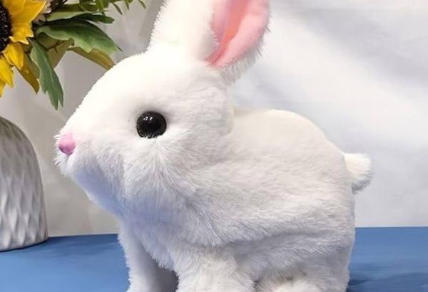 Hoppsy Robot Bunny : Unbiased Review Complete Consumer Report 2026[#Buy18MARCH]