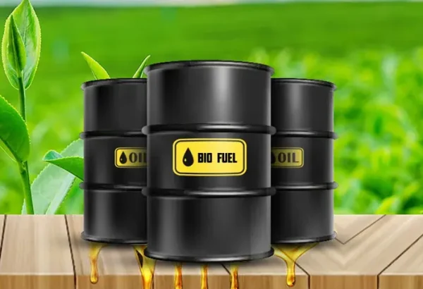 Who is the Best Biofuels Supplier in India?