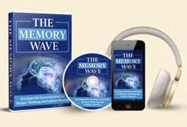 The Memory Wave: The Future of Brain Training and Memory Growth