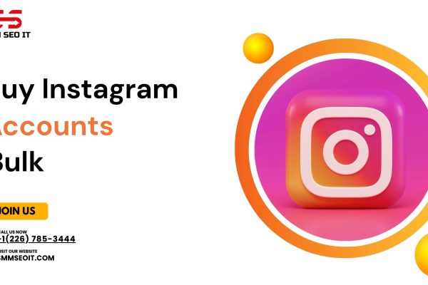 Buy Instagram Accounts Bulk – Smmseoit