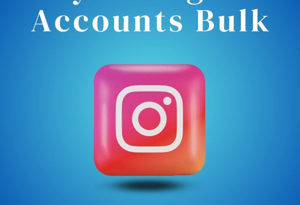Bulk Instagram Accounts: A Smart Investment for Growth
