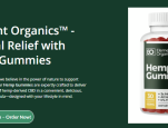 Are Element Organics Hemp Gummies The Blend of Natural Ingredients?