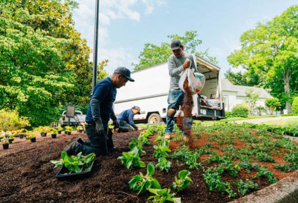 Advanced Outdoor Care Solutions for Sustainable Landscape Management
