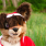 Fursuitcrafts